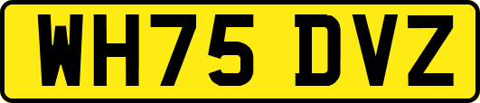 WH75DVZ