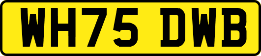 WH75DWB