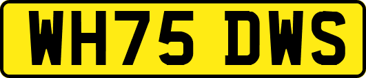 WH75DWS