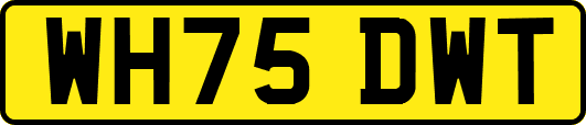 WH75DWT
