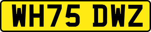 WH75DWZ