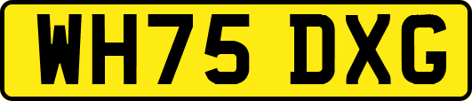 WH75DXG