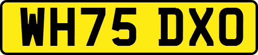 WH75DXO