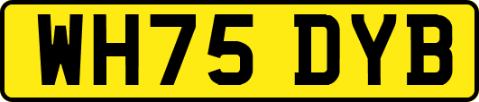 WH75DYB
