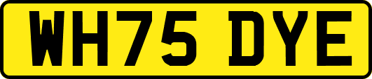 WH75DYE
