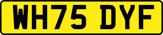 WH75DYF
