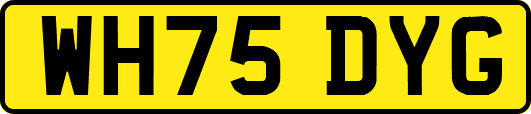 WH75DYG