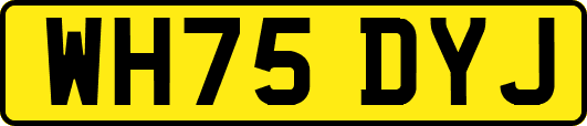 WH75DYJ