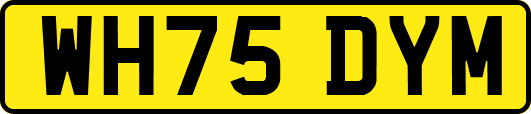 WH75DYM