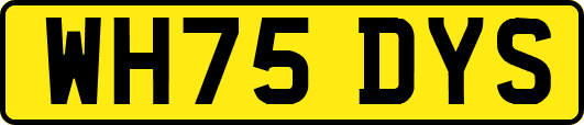 WH75DYS