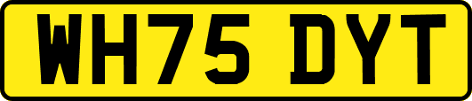 WH75DYT