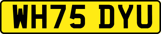 WH75DYU