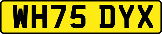 WH75DYX