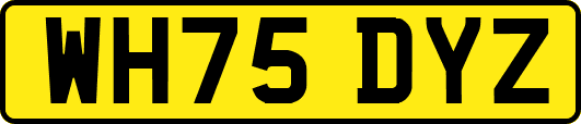 WH75DYZ