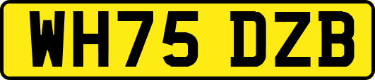 WH75DZB