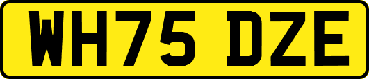 WH75DZE