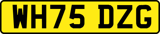 WH75DZG