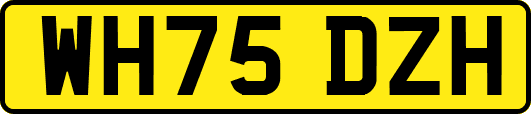 WH75DZH