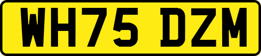 WH75DZM