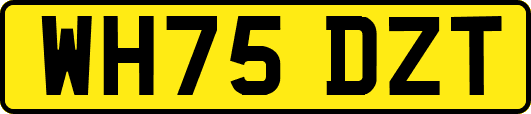 WH75DZT