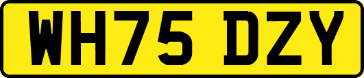 WH75DZY