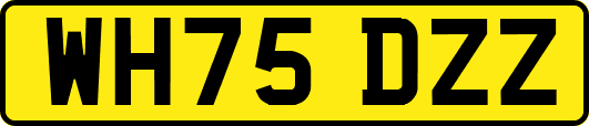 WH75DZZ