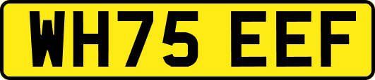 WH75EEF