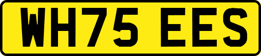 WH75EES