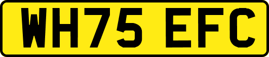 WH75EFC