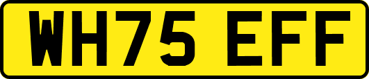 WH75EFF
