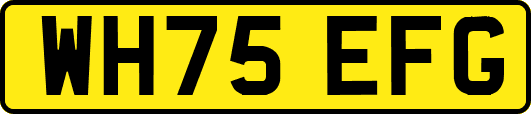 WH75EFG