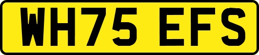 WH75EFS