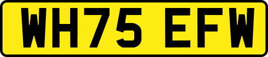 WH75EFW