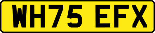WH75EFX