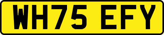 WH75EFY