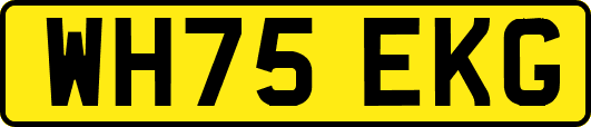 WH75EKG