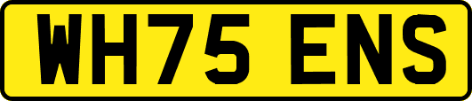 WH75ENS