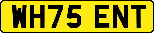WH75ENT