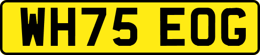 WH75EOG