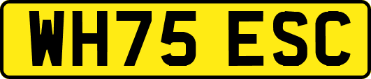 WH75ESC