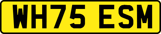 WH75ESM