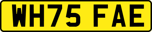 WH75FAE