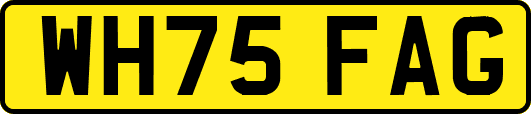 WH75FAG