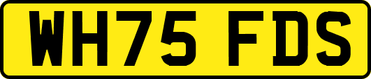 WH75FDS