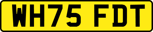 WH75FDT