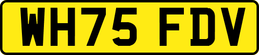 WH75FDV