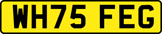 WH75FEG