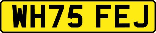 WH75FEJ