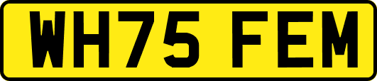 WH75FEM