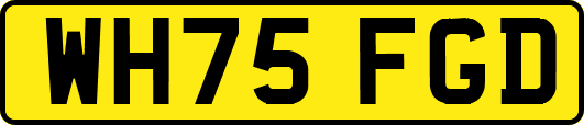 WH75FGD
